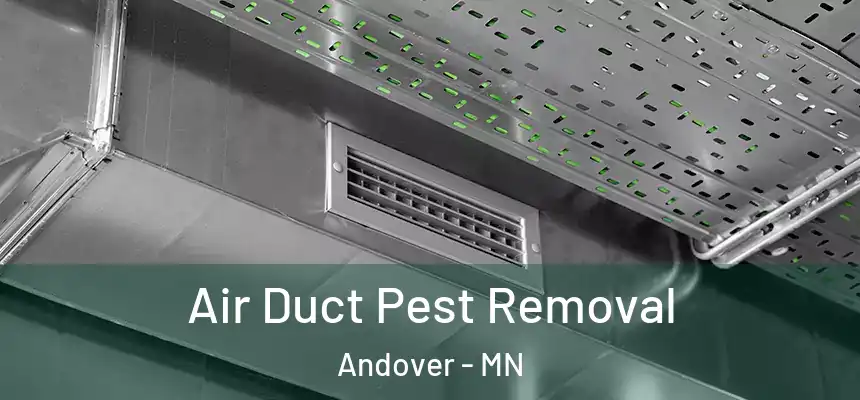 Air Duct Pest Removal Andover - MN
