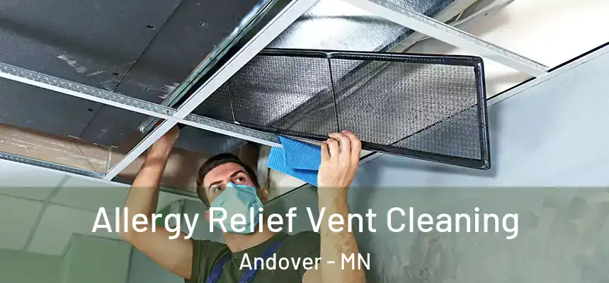  Allergy Relief Vent Cleaning Andover - MN