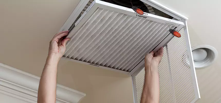 Preventive Cockroach-Proofing for Ducts in Andover