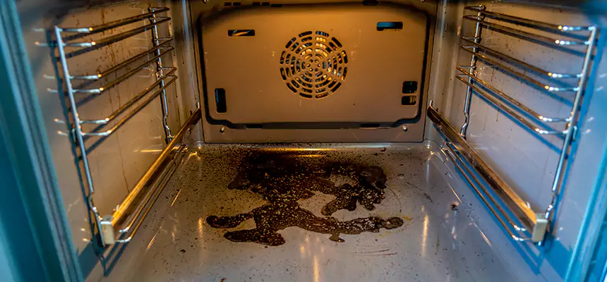 Our Dryer Vent Mold Cleaning Services in Andover, MN