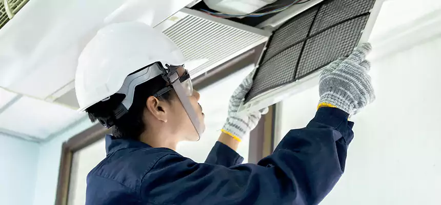 Our Mold & Mildew Removal from Air Ducts Services in Andover, MN