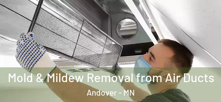 Mold & Mildew Removal from Air Ducts Andover - MN