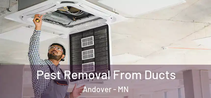 Pest Removal From Ducts Andover - MN