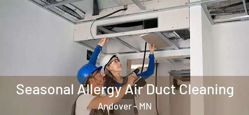 Seasonal Allergy Air Duct Cleaning Andover - MN
