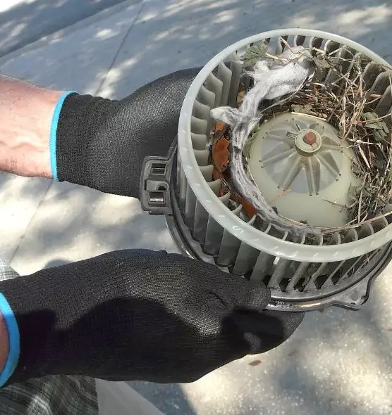 About Air Duct Mice Removal in Andover, MN