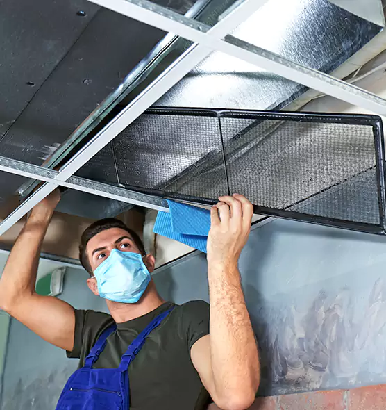Professional Air Duct Pollen Cleaning in Andover, MN