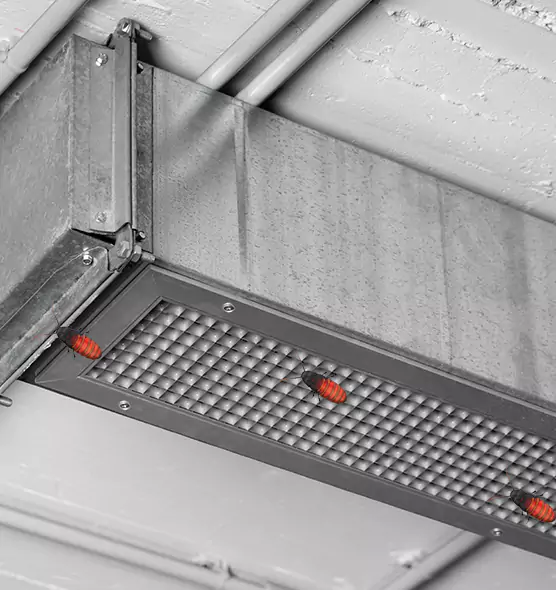 Affordable Insect Removal from Air Ducts in Andover, MN