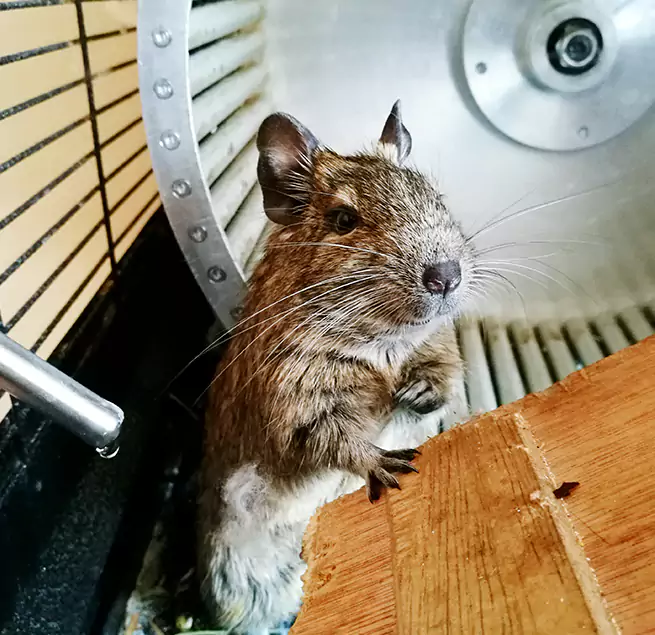 Why Homeowners & Businesses Trust Us Andover, MN?