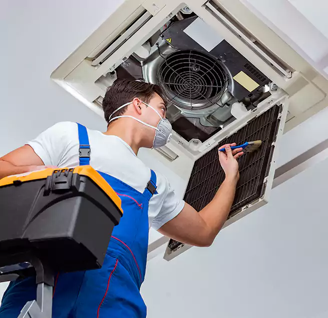 Why Homeowners & Businesses Trust Us in Andover, MN