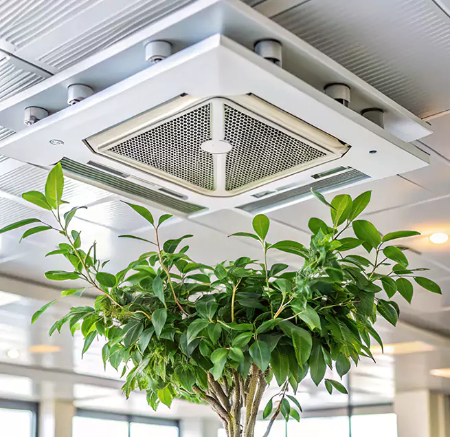 Why Homeowners & Businesses Trust Us in Andover, MN