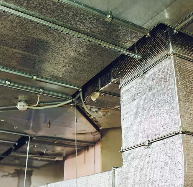 Why Homeowners & Businesses Trust Us in Andover, MN?