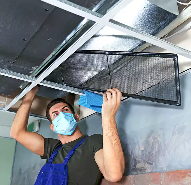 Why Homeowners Businesses Trust Us in Andover, MN